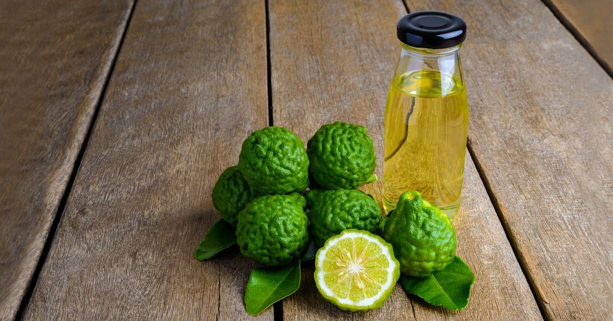 About Bergamot Oil