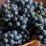 6 Unique Benefits of Black Grapes
