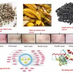 Black Seed Oil on Genitals: Honestly, What Happens Down There? Black Seed Oil on Genitals: Honestly, What Happens Down There?