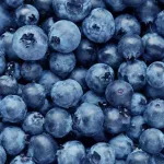 Blueberry Nutrition Facts