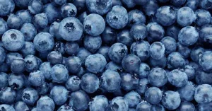 Blueberry Nutrition Facts