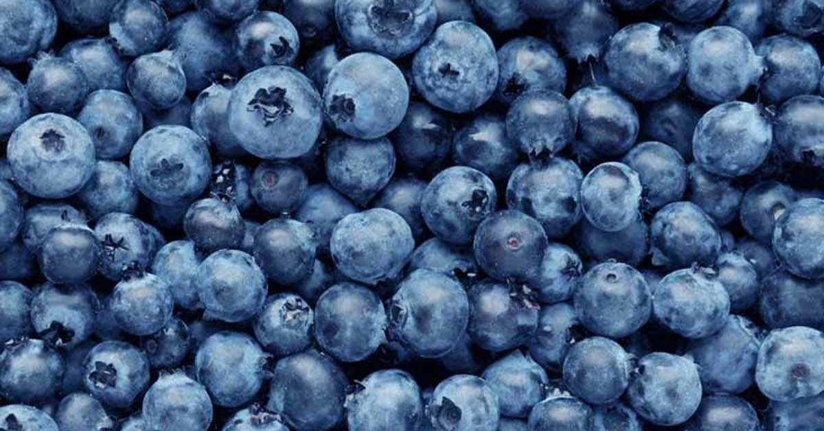 Blueberry Nutrition Facts