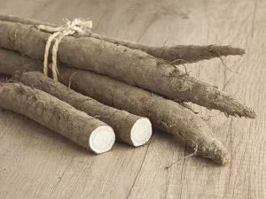 What Is Burdock Root?