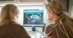 Can An Ultrasound Detect Cervical Cancer? — Limits