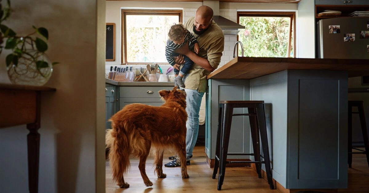 Why Fleas Live on Pets and Not Humans