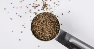 Celery Seed Benefits: 6 Surprising Health Perks