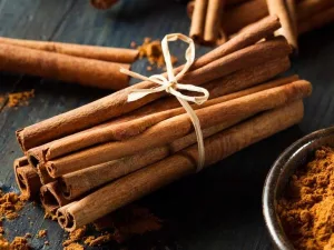 Ceylon vs. Cassia — Not All Cinnamon Is Created Equal