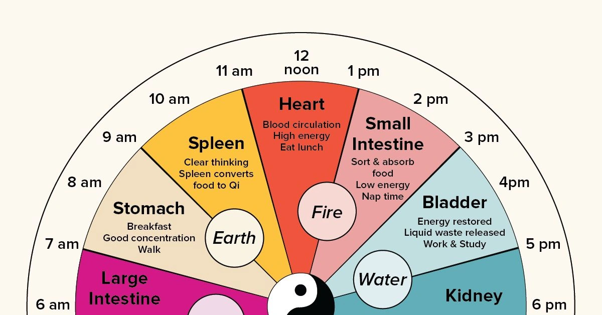 Chinese Body Clock: Timing Your Daily Energy