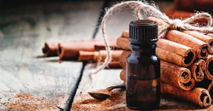 Cinnamon Oil Benefits and Uses