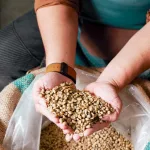 What is Coffea Cruda and What Does It Treat?