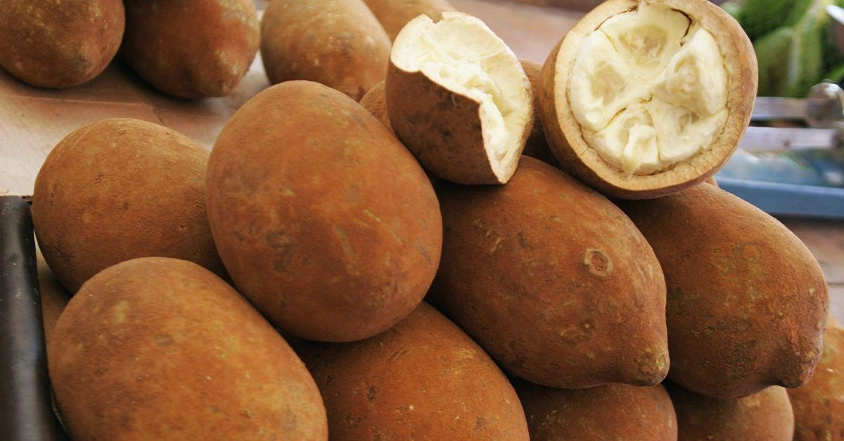 What Is Cupuaçu? Benefits and Uses