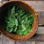 Is Darjeeling Tea Good for You? Uses, Benefits, and Downsides Is Darjeeling Tea Good for You? Uses, Benefits, and Downsides