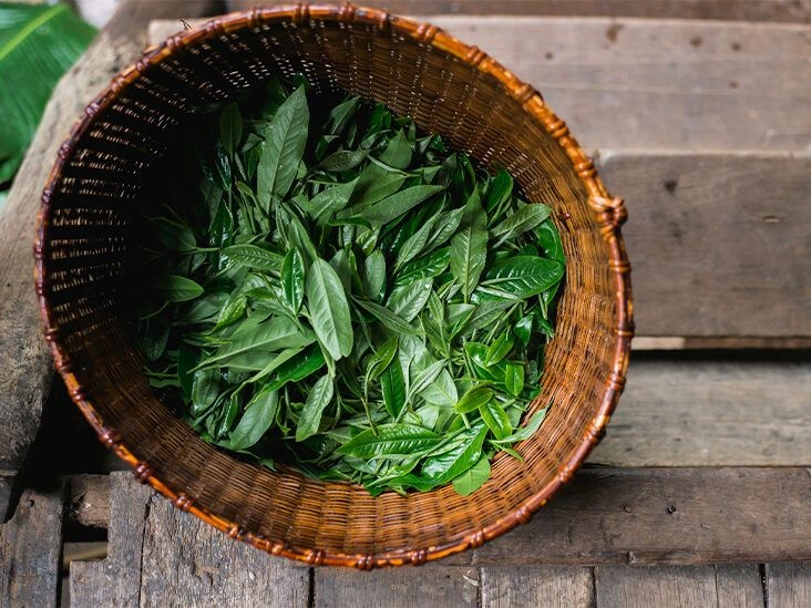 Is Darjeeling Tea Good for You? Uses, Benefits, and Downsides