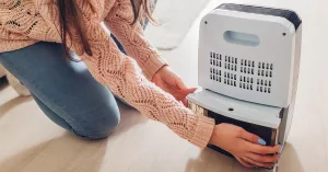 What Does a Dehumidifier Do?