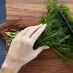 All You Need to Know About Dill