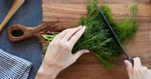 All You Need to Know About Dill