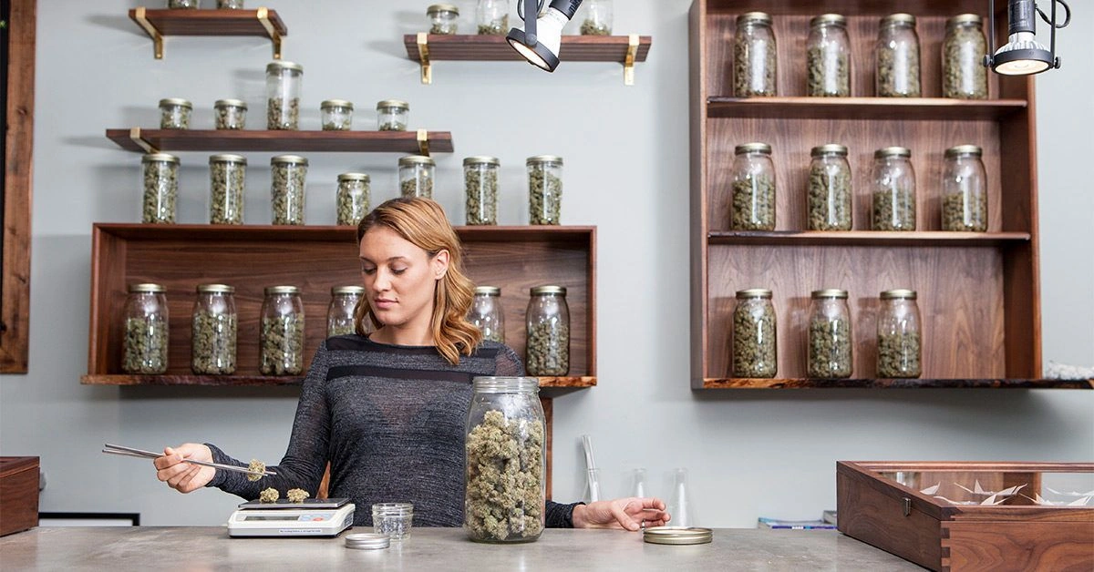 How to Tell If Cannabis Is Past Its Prime