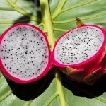 What Is Dragon Fruit and Does It Have Health Benefits?