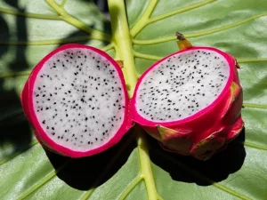 What Is Dragon Fruit and Does It Have Health Benefits?