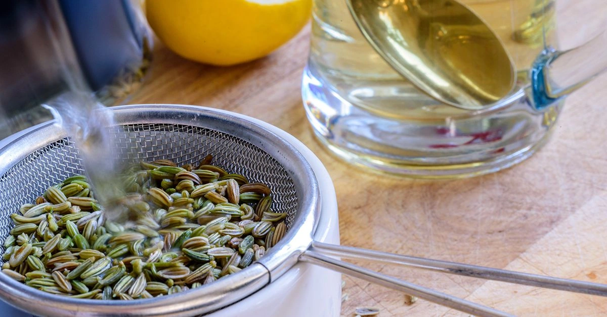 What Is Fennel Tea?