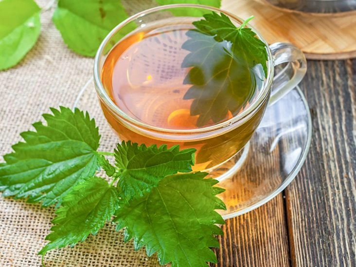 The Health Benefits of Nettle Tea