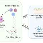 The Function of Vitamin E in Butt Growth