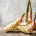 Galangal Root: Benefits, Uses, and Side Effects