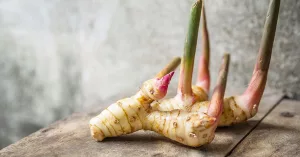 Galangal Root: Benefits, Uses, and Side Effects