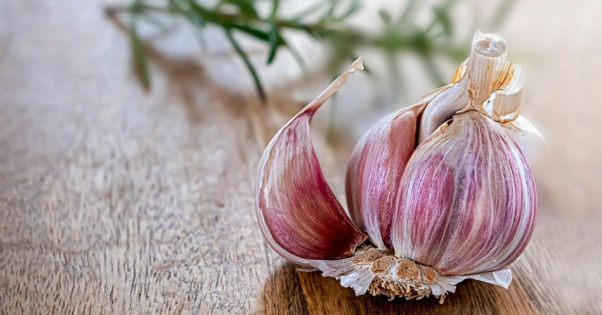 Can Garlic Treat the Pain from Toothaches?
