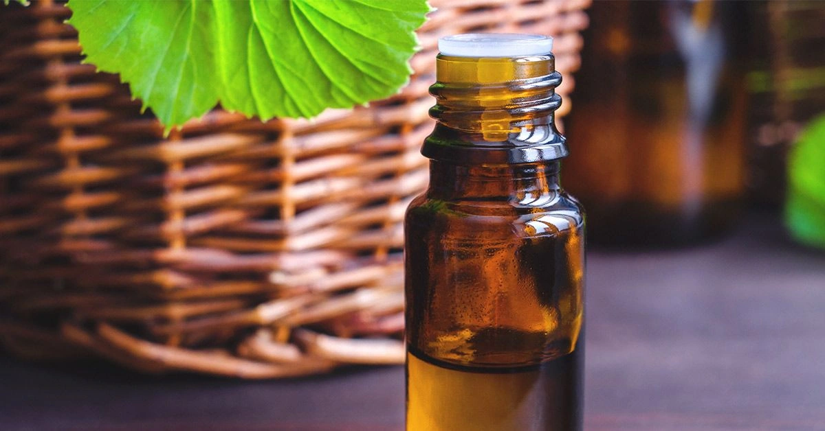 Everything You Need to Know About Geranium Essential Oil