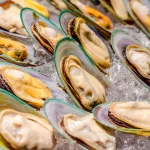 Green-Lipped Mussel Supplements: All You Need to Know