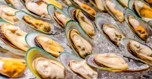 Green-Lipped Mussel Supplements: All You Need to Know