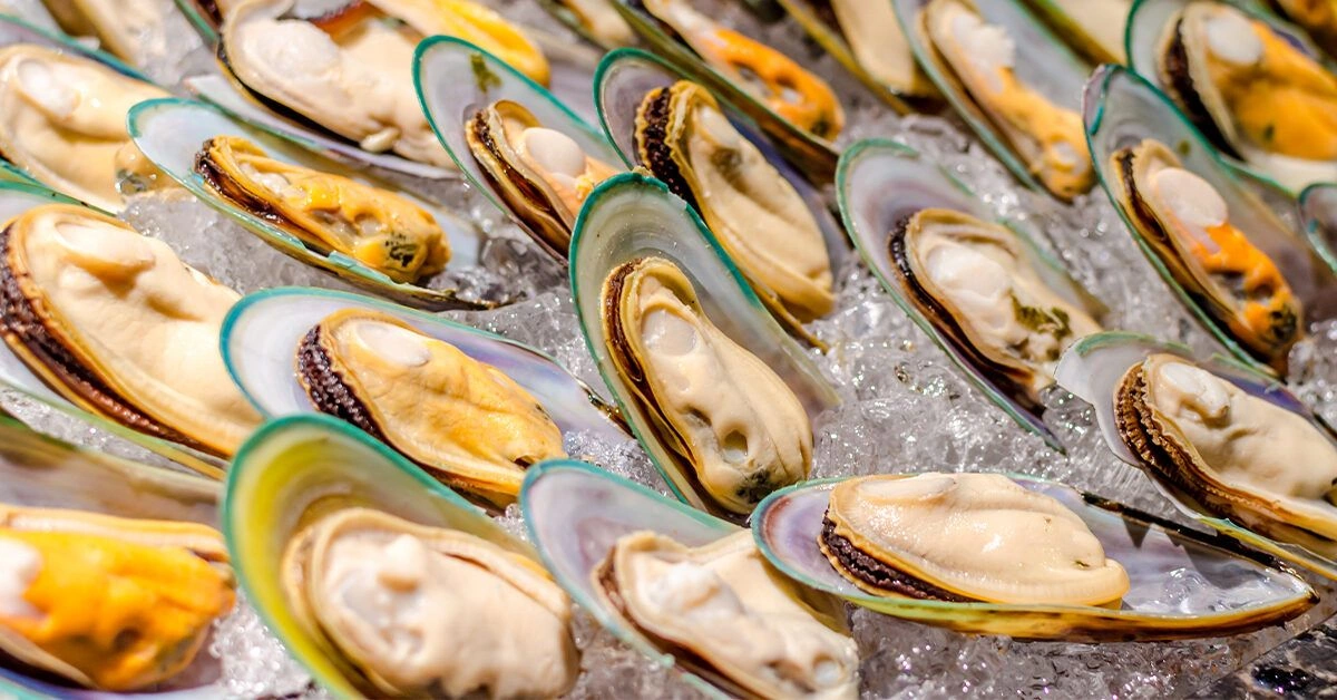 Green-Lipped Mussel Supplements: All You Need to Know