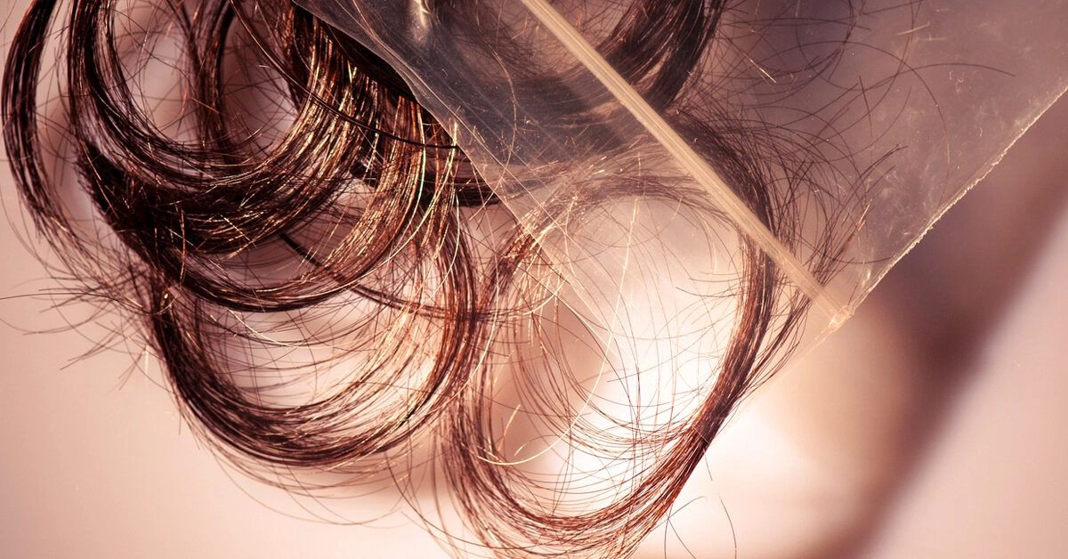 Everything You Should Know About a Hair Strand Drug Test