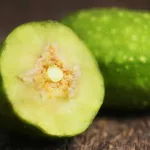 Haritaki: The Health, Beauty, and Spiritual Benefits of This Ancient Herb