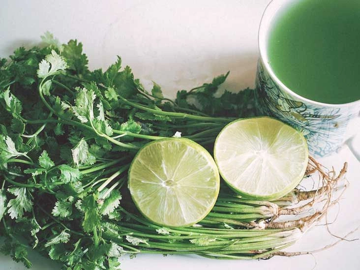 What Is the Heavy Metal Detox Diet?