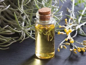 Everything You Need to Know About Helichrysum Essential Oil Everything You Need to Know About Helichrysum Essential Oil