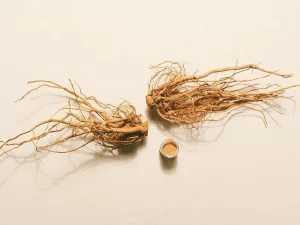 5 Impressive Herbs That Help Balance Your Hormones 5 Impressive Herbs That Help Balance Your Hormones