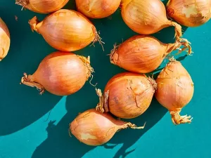 A Guide to Home Remedies for Boils A Guide to Home Remedies for Boils