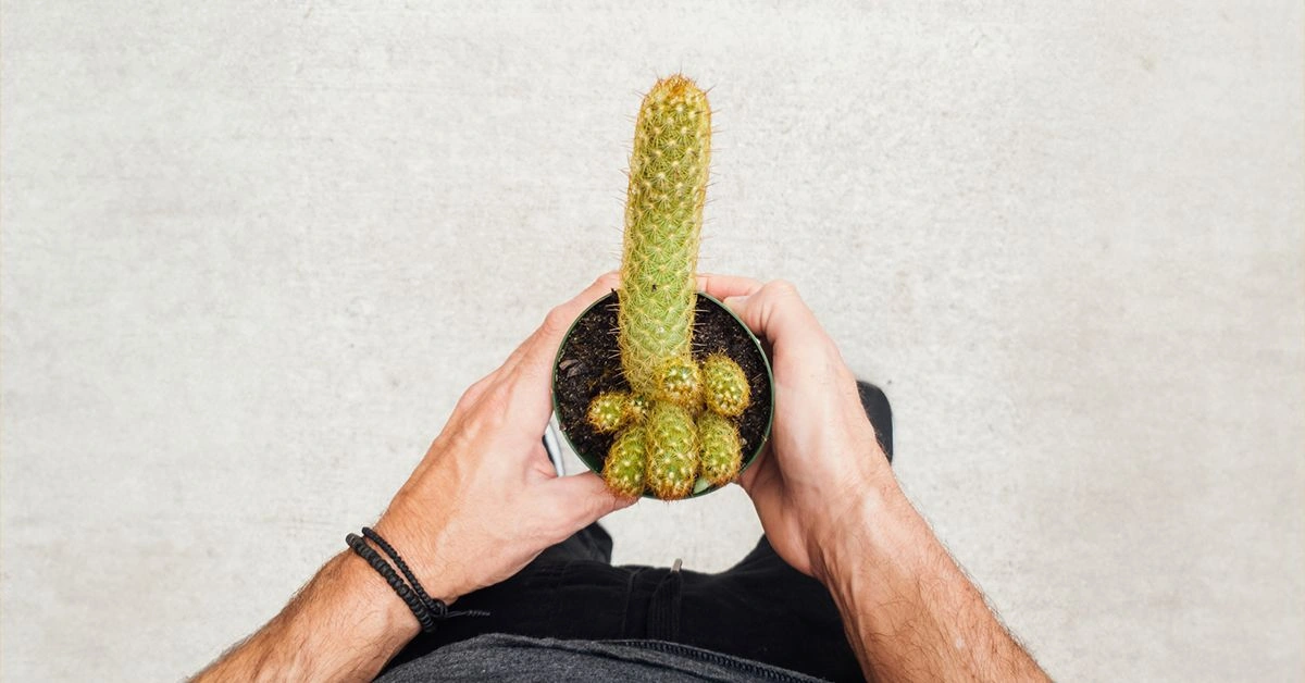 Everything You Need to Know About Jelqing