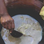 Kava Kava: Benefits, Side Effects and Dosage