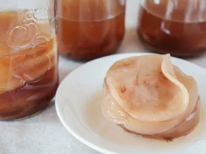 Kombucha SCOBY: What It Is and How to Make One Kombucha SCOBY: What It Is and How to Make One