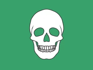 L3