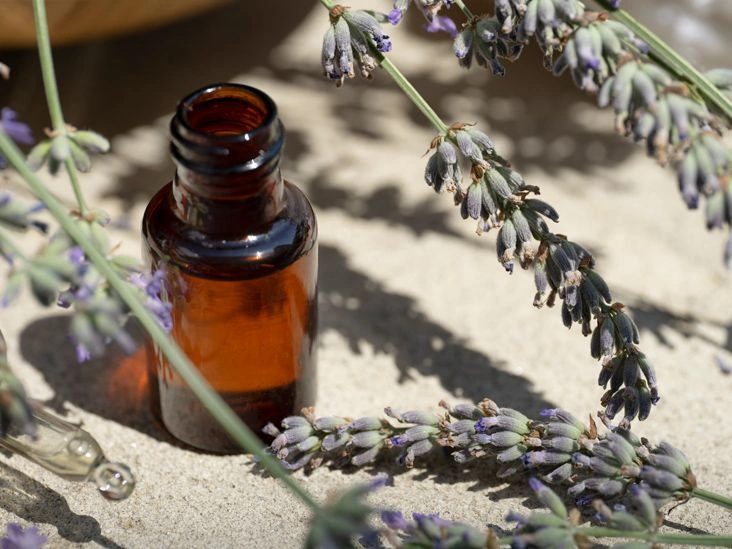 How Lavender Oil May Improve the Health of Your Skin