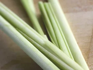 Potential Benefits of Lemongrass Oil