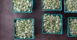 Lima Beans: Nutrients, Benefits, Downsides, and More