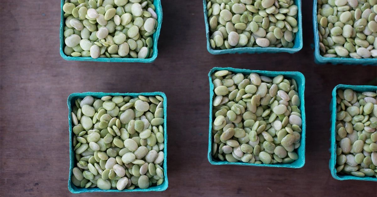 Lima Beans: Nutrients, Benefits, Downsides, and More