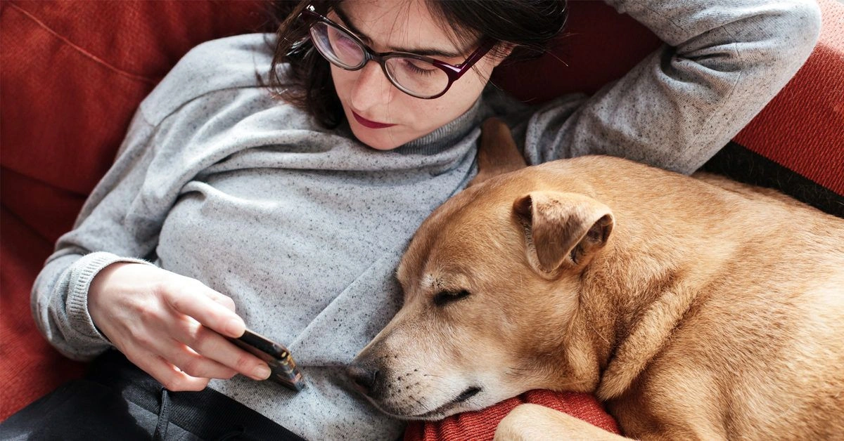 Identifying and Treating Maladaptive Behavior