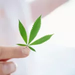 Marijuana And Constipation: Effects on Digestion