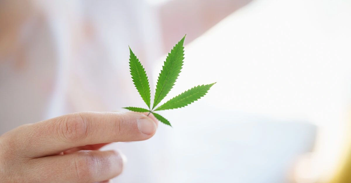 What’s the Relationship Between Marijuana and Constipation?